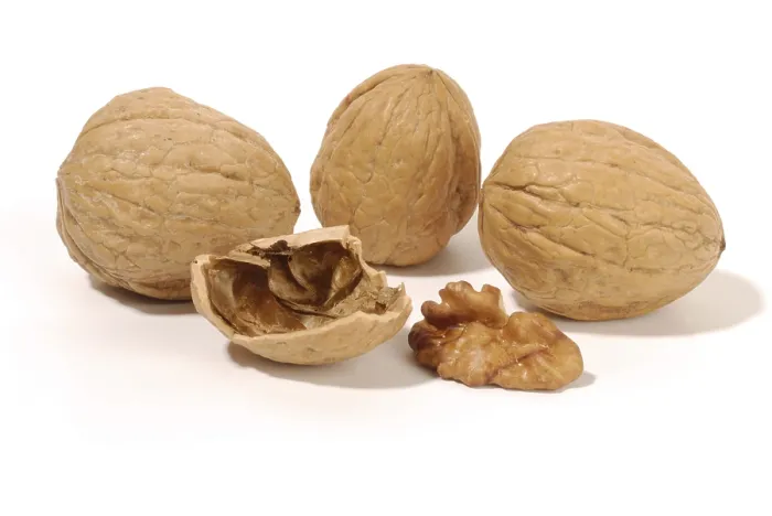 Impresión enmarcada : Walnuts Impresión enmarcada : Walnuts