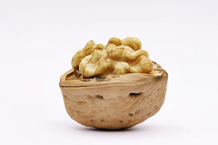 Impresión enmarcada : Walnuts