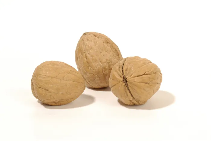 Impresión enmarcada : Walnuts Impresión enmarcada : Walnuts