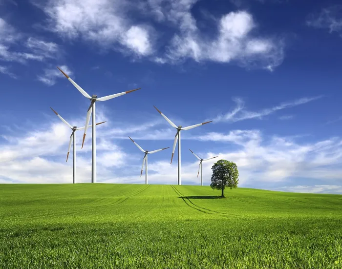 Impresión enmarcada : Viento de cambio Impresión enmarcada : Viento de cambio