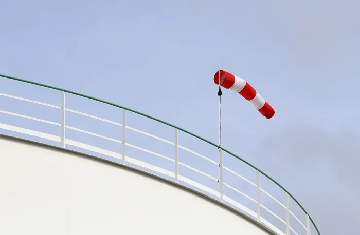 Impresión enmarcada : Windsock