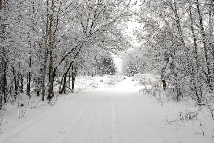 Impresión enmarcada : Winter Impresión enmarcada : Winter