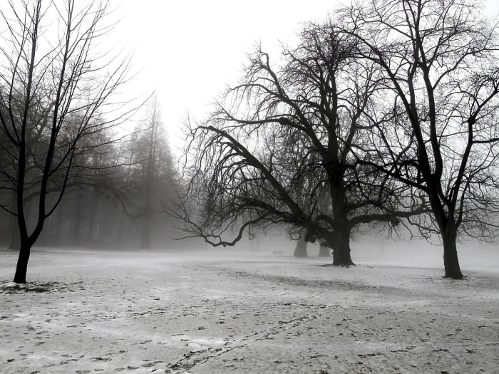 Impresión enmarcada : Winter