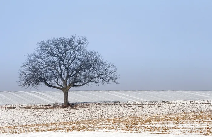 Impresión enmarcada : Wintertime