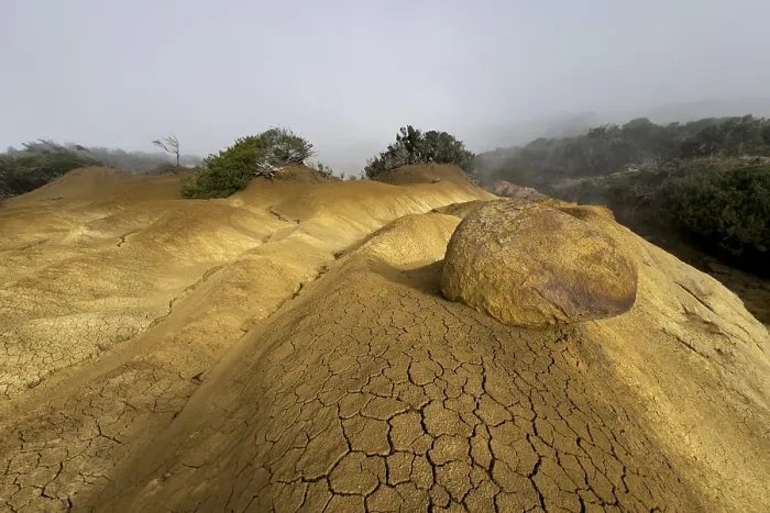 Impresión enmarcada : Suelo y rocas amarillas, erosión.