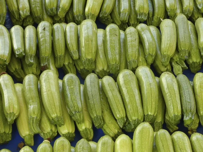 Impresión enmarcada : Zucchini