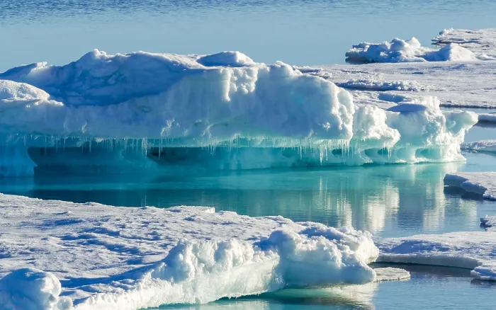 Impresión enmarcada : Paquete de hielo.
