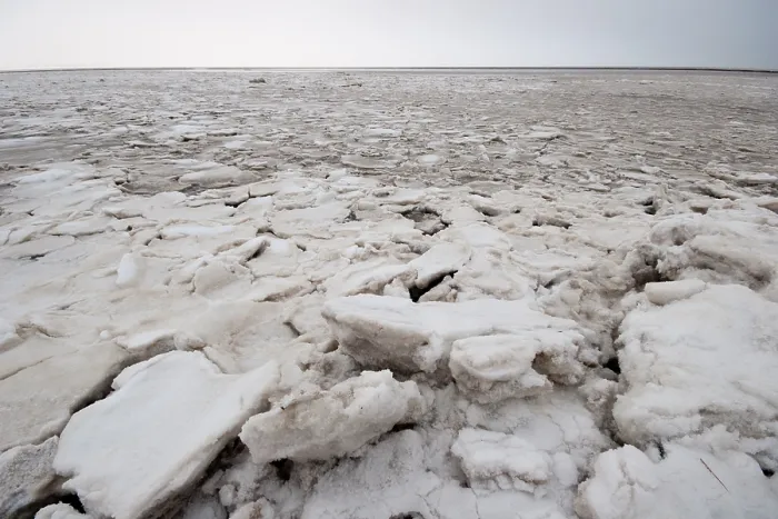 Impresión enmarcada : Waddenzee en invierno.