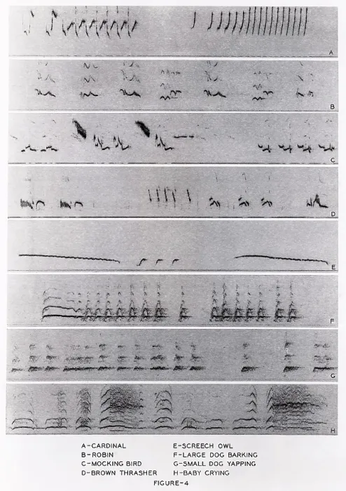 Impresión enmarcada : Espectrogramas de audio.