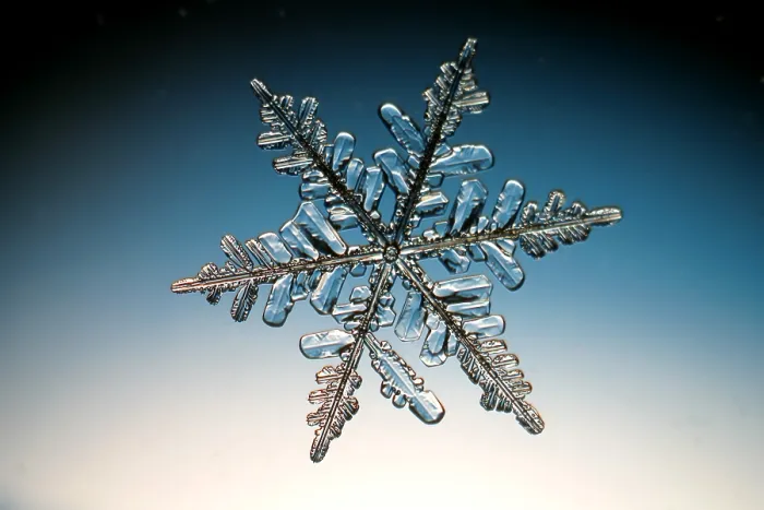Impresión enmarcada : Snowflake. Una aguja de nieve o una cristalización de nieve Impresión enmarcada : Snowflake. Una aguja de nieve o una cristalización de nieve