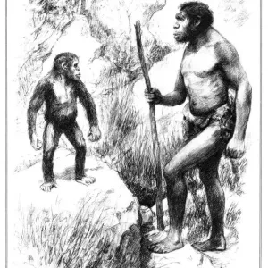1925 Print: Australopithecus and the Rhodesian Man