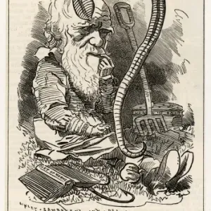 Charles Darwin Studying a Worm Print