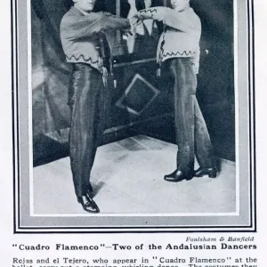 Impresiones enmarcadas