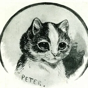Peter the Cat Print by Louis Wain, 1897