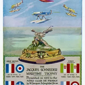 The Schneider Trophy Print The Schneider Trophy Print