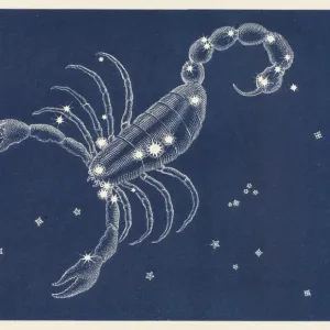 Scorpio