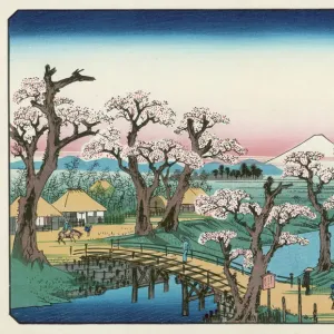Mount Fuji Springtime Print Mount Fuji Springtime Print