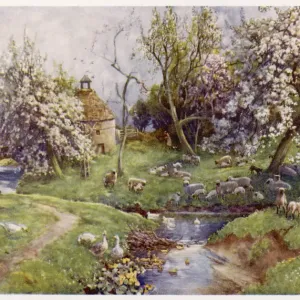 English Countryside Print: Geese and Sheep by a Spring Stream English Countryside Print: Geese and Sheep by a Spring Stream