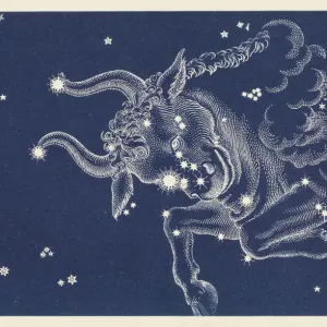 Taurus Constellation Print