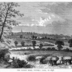 Tufnell Park Roman Road Print, Islington Country Landscape