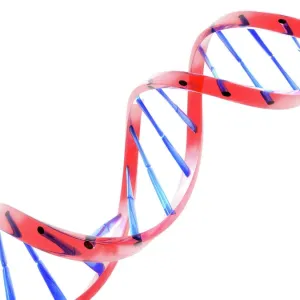 Double Helix DNA Molecule Print