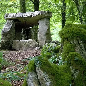 Dolmen at Craggaunowen Project Print