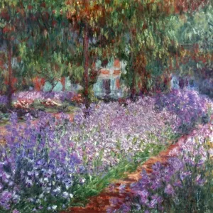 Impresiones enmarcadas