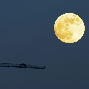 Mond und Krane
