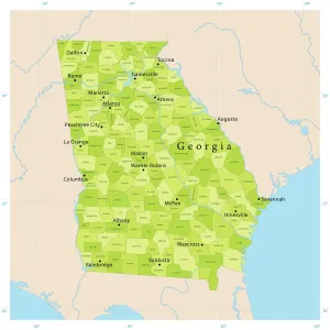 Highly Detailed Georgia State Vector Map Print
