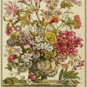 Venta de obras de arte: Botánica