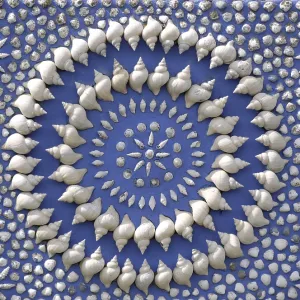 Círculo de concha.