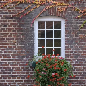 Stable Window Print from imageBROKER