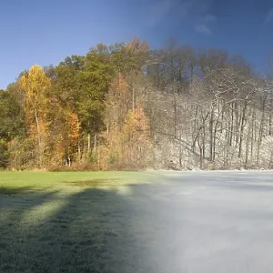 Composite of Fall and Winter
