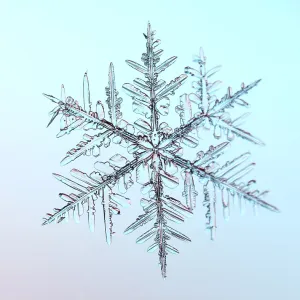 Snowflake Under the Microscope