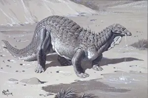 Herbivorous Dinosaurs Imprime: Acanthopholis