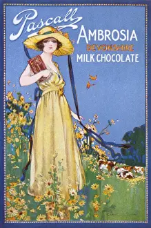 Early 20th Century Food Ads Imprime: Advert / Devonshire Choc
