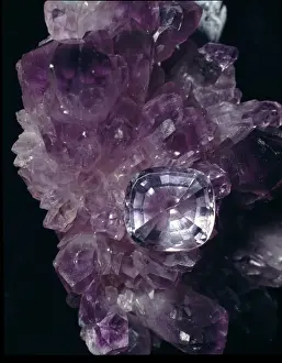 Mineral Specimen Photography Imprime: Amethyst