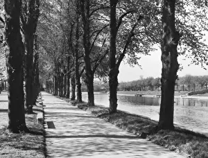 Worcestershire Landscape Photography Imprime: Avenue of Trees