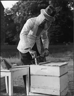 Beekeeping Techniques Imprime: BEE KEEPER