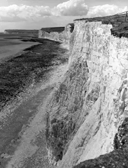 English Coastline Images Imprime: Birling Gap Cliffs