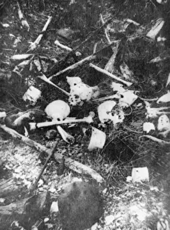 World War 1 Battlefield Imprime: Bones 1916