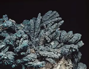 Bornite Mineral Imprime: Bornite