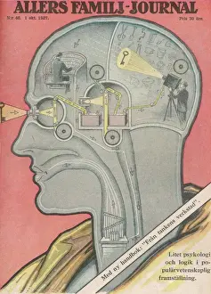 ¿QUÉ HACE EL CEREBRO