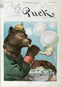 Russian Bear Cartoon Imprime: Bubbles