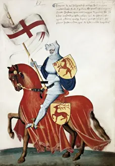 Italian Renaissance History Imprime: Capodilista Codex