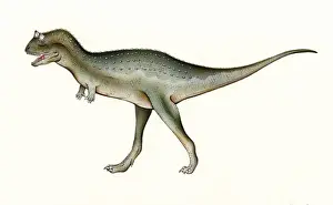 Mesozoic Era Animals Imprime: Carnotaurus