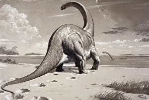 Prehistoric England Imprime: Cetiosaurus