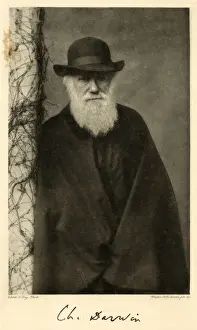 Victorian Era Art Imprime: Charles Darwin / Column