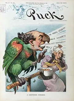 William Jennings Bryan Cartoon Imprime: A chattering nuisance