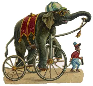 Elefante y Mono del Circo